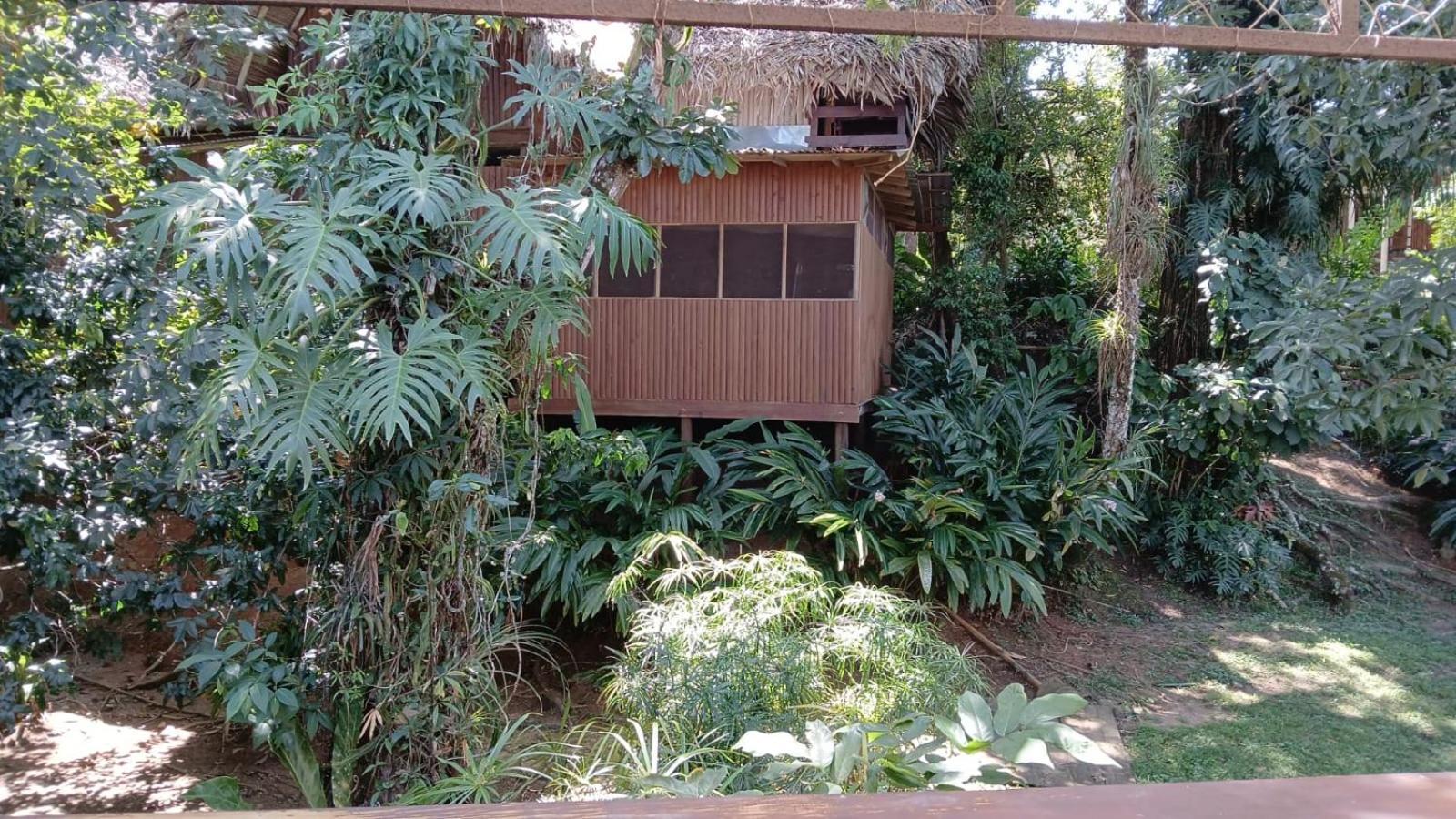 Tortugal Boutique River Lodge Rio Dulce Town Exterior foto